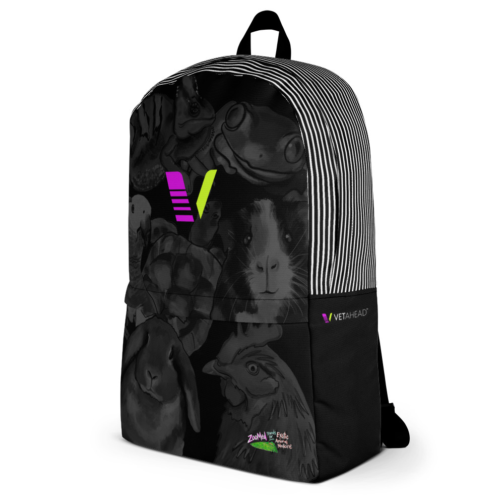 VETAHEAD Backpack - Image 3