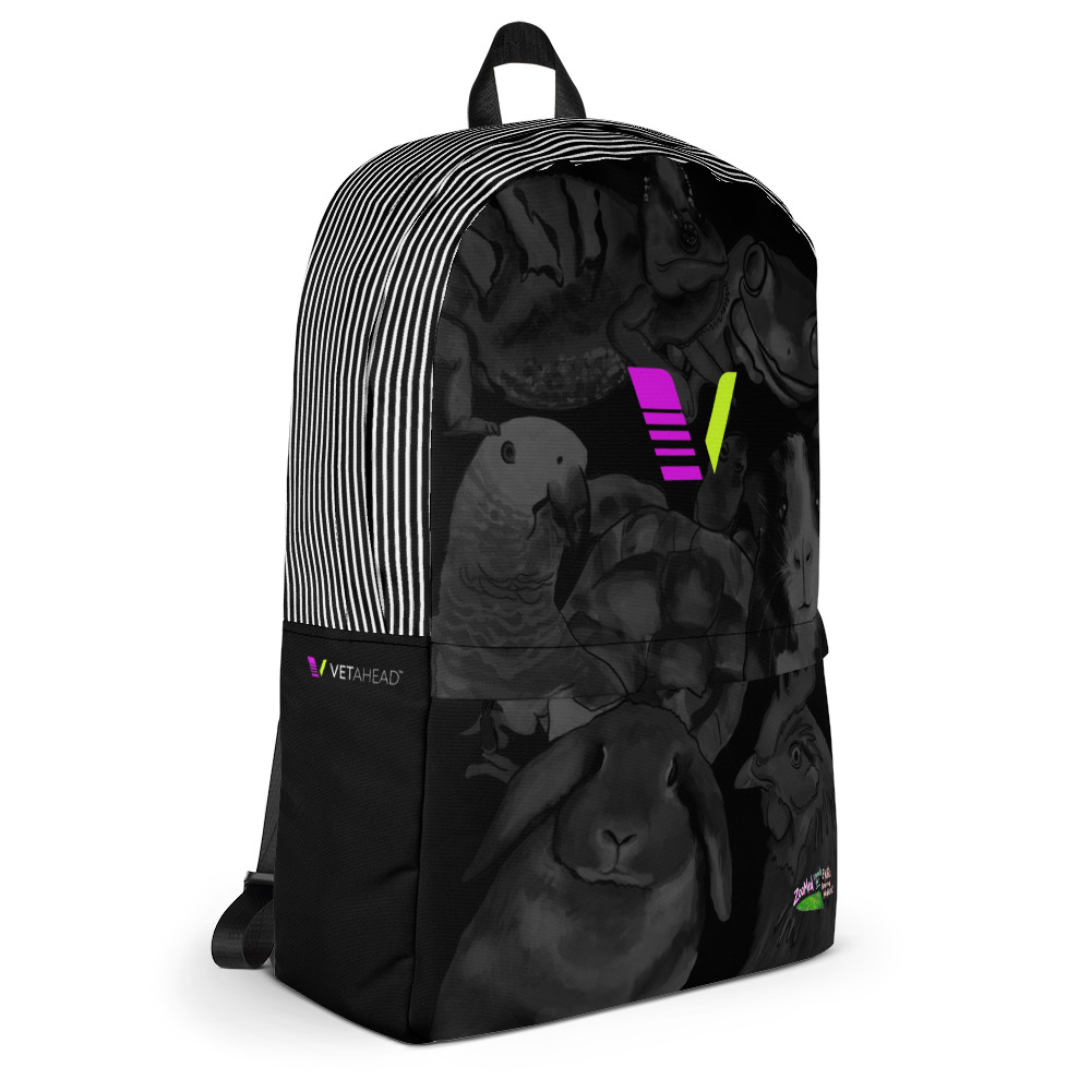 VETAHEAD Backpack - Image 4