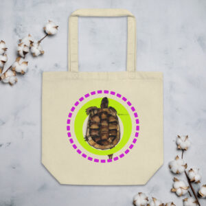 Tortoise