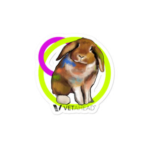 VETAHEAD Rabbit Bubble-free stickers