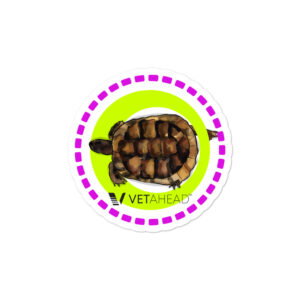 VETAHEAD Tortoise Bubble-free stickers