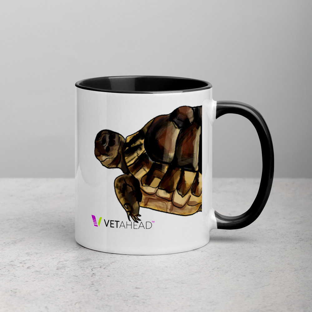 VETAHEAD Tortoise Mug with Color Inside - Image 4