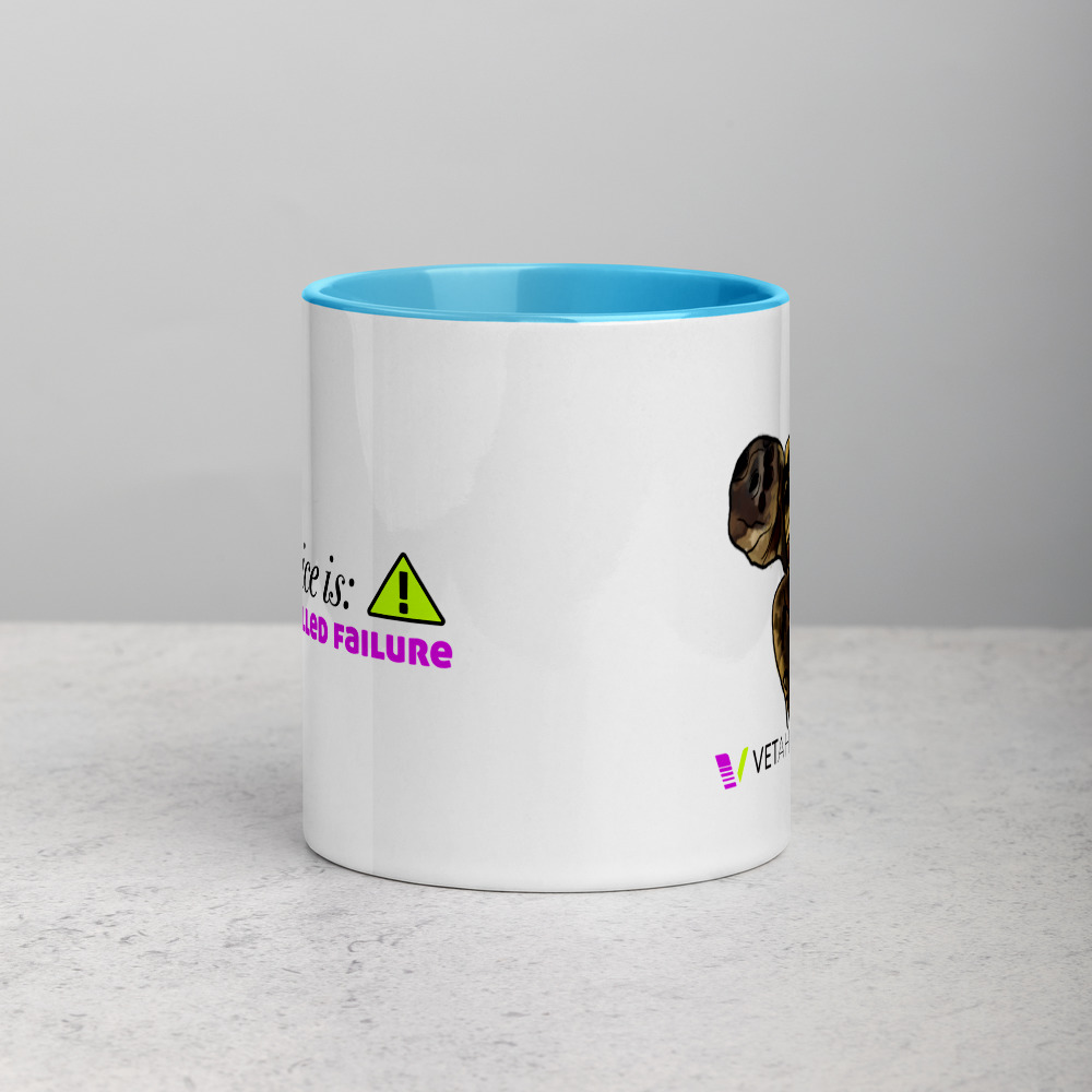 VETAHEAD Tortoise Mug with Color Inside - Image 8
