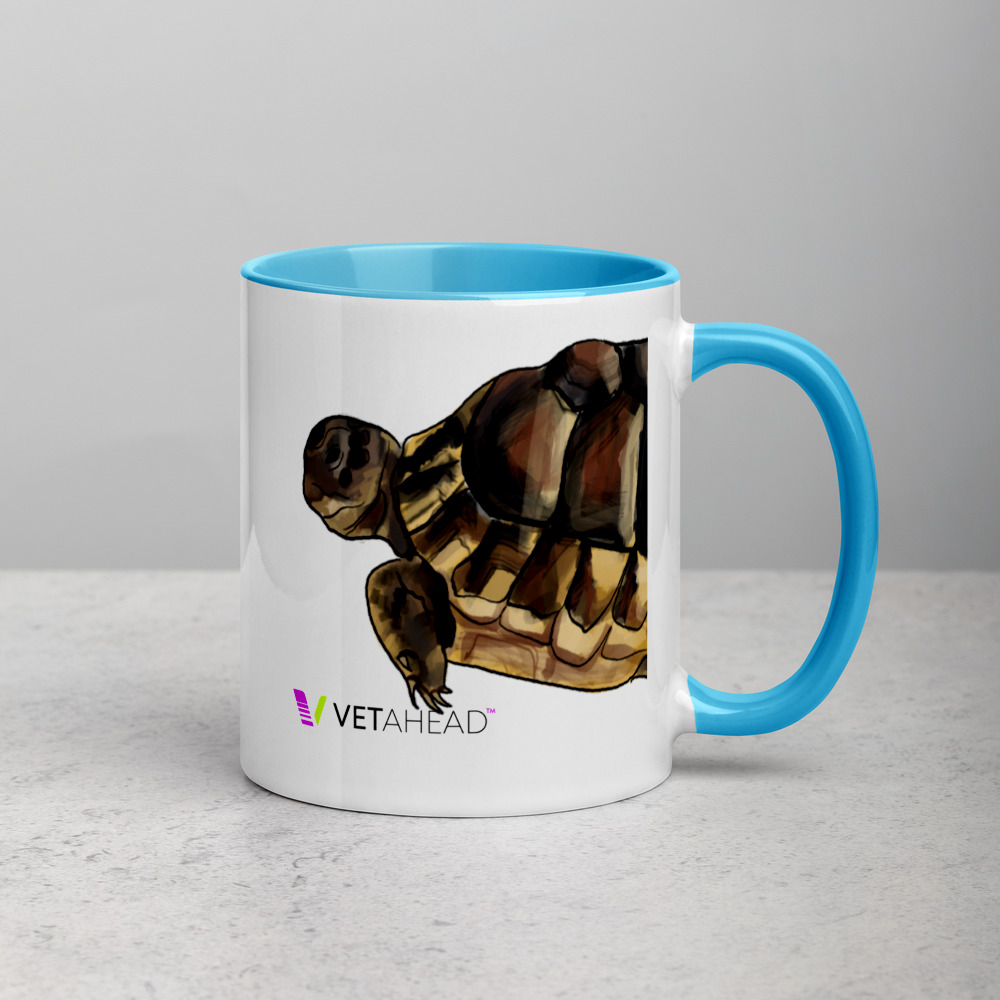 VETAHEAD Tortoise Mug with Color Inside