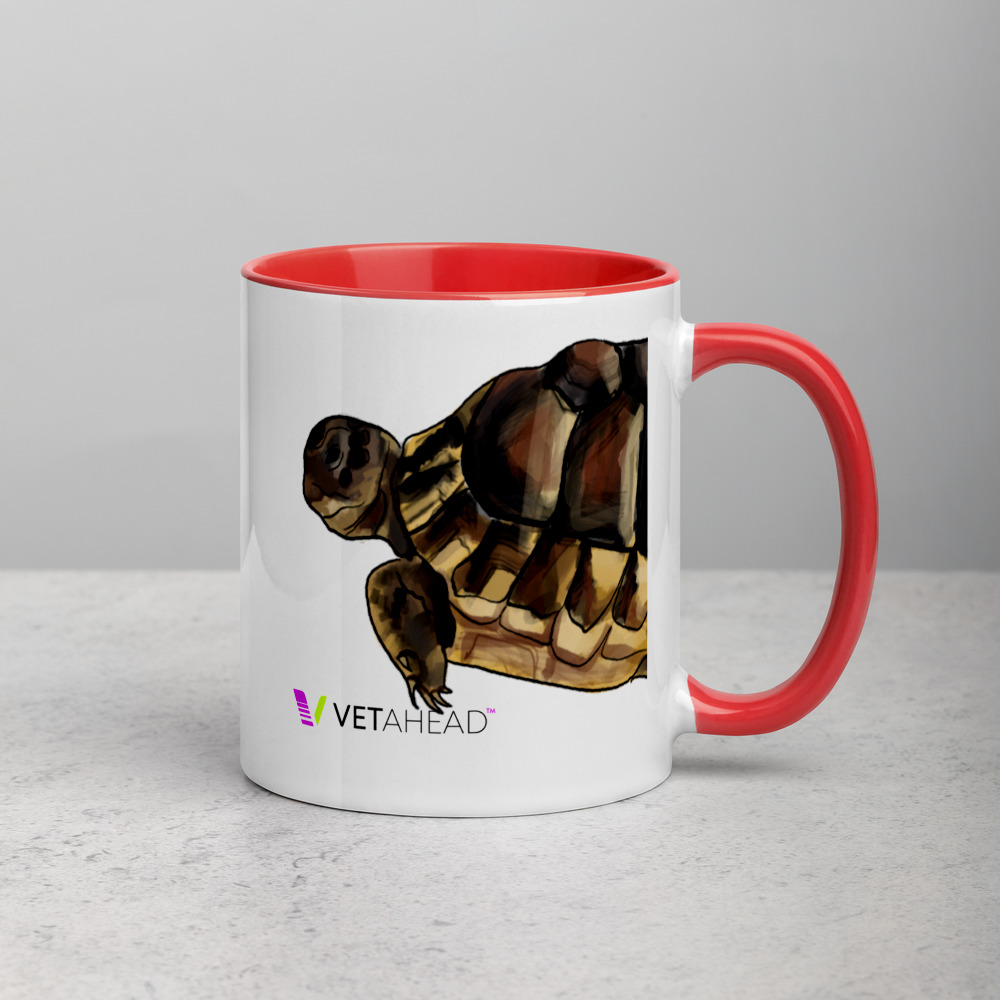 VETAHEAD Tortoise Mug with Color Inside - Image 7