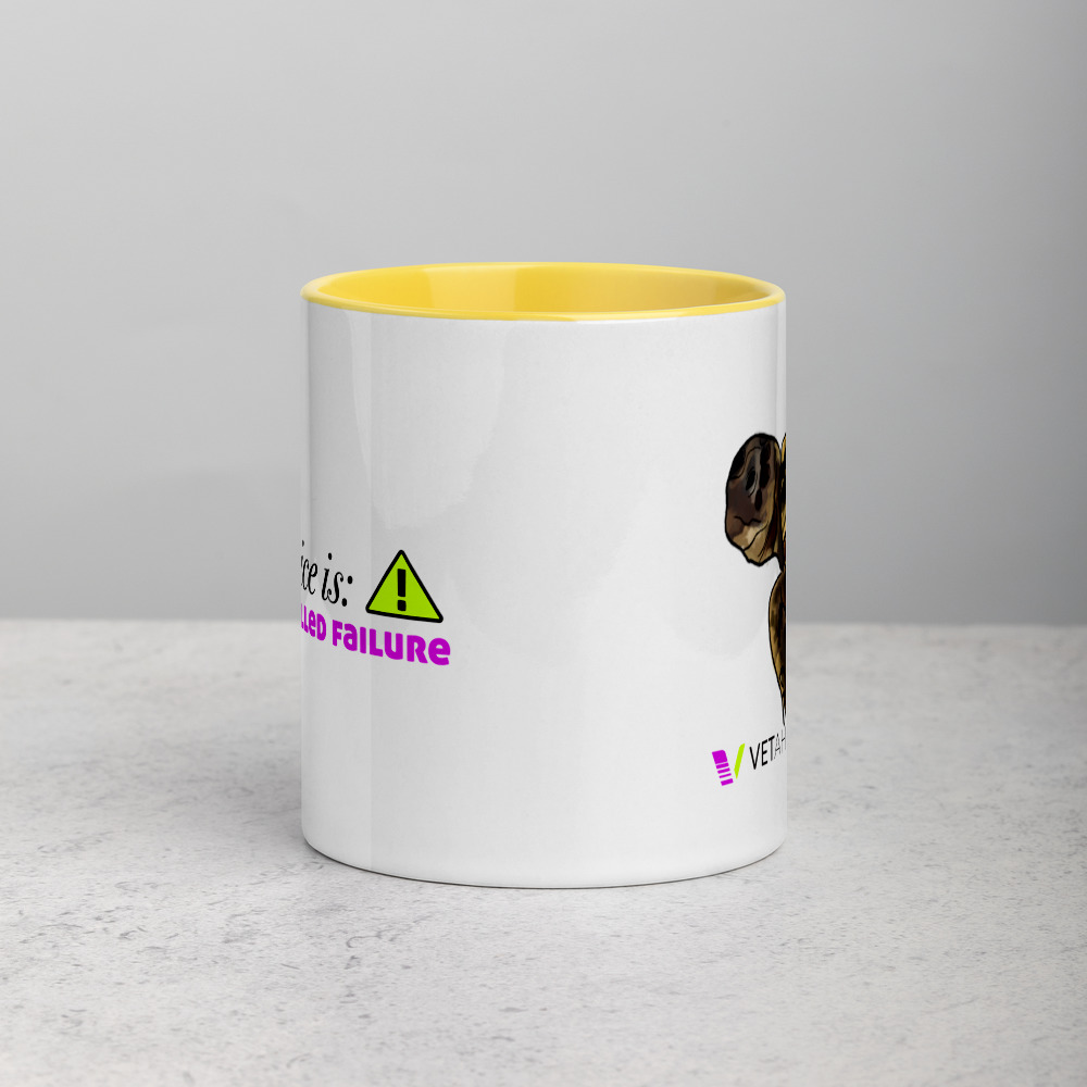 VETAHEAD Tortoise Mug with Color Inside - Image 10