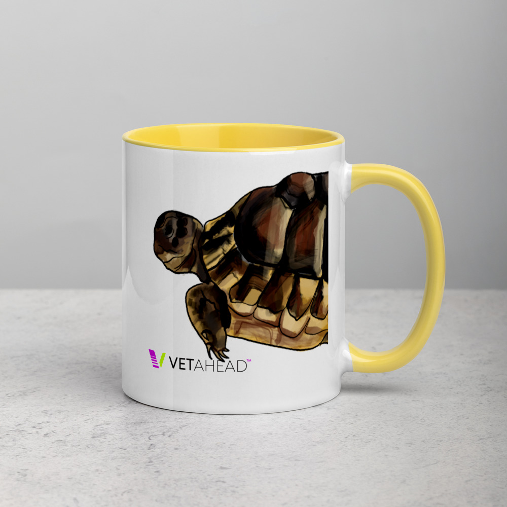 VETAHEAD Tortoise Mug with Color Inside - Image 12